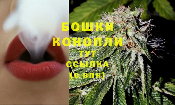 PSILOCYBIN Балахна